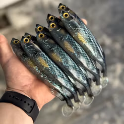 FuseShad Galactic Herring 20cm