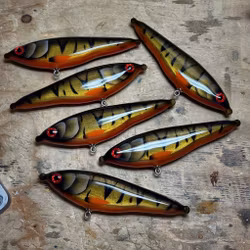 Gigajerk Jr - Stripped Roach 17,5cm (sink)