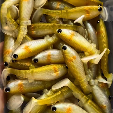 Kopia GigabiteV2 Setzuki Ayu 10cm - 4pcs