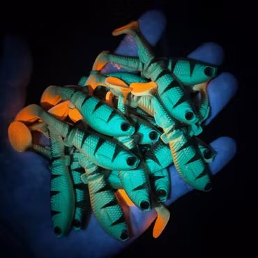 GigabiteV2 UV Perch 10cm - 4pcs