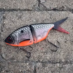Easy Swim 17cm - Emerald Roach