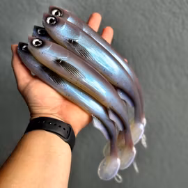 FuseShad Wakasagi UV 27cm