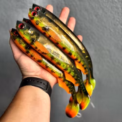 FuseShad Golden Black Pike 27cm