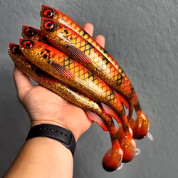FuseShad Sunrise Perch 27cm