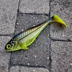 Snackbite 21cm - Hot Motoroil Bream