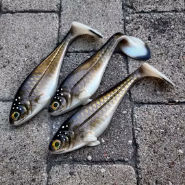 Snackbite 21cm Bream