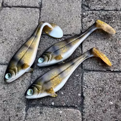 Snackbite 21cm - Golden Walleye