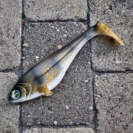 Snackbite 21cm Golden Walleye