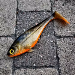 Snackbite 21cm - JS Special