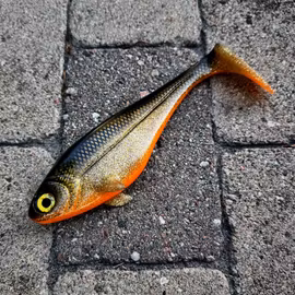 Snackbite 21cm JS Special