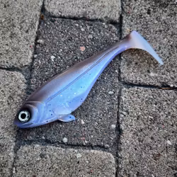 Snackbite 21cm - Wakasagi UV