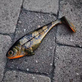 Snackbite 21cm Spotted Bullhead Motoroil