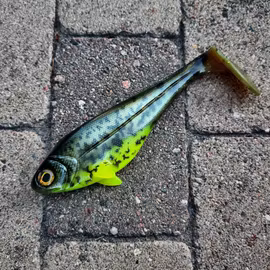 Snackbite 21cm Hot Belly Burbot