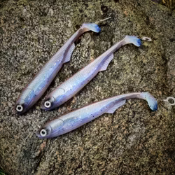 FuseShad 20cm Wakasagi UV