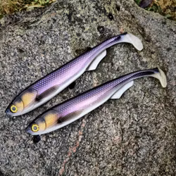 FuseShad 27cm Dirty Whitefish