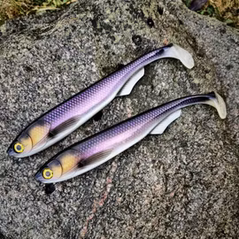 FuseShad 27cm Dirty Whitefish