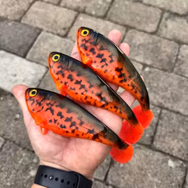 Snackbite 16cm Sunburst Burbot
