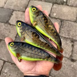 Snackbite 16cm Kiwi Bream