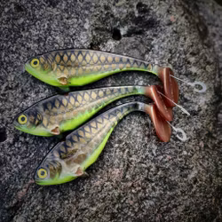 Snackbite 16cm Kiwi Bream