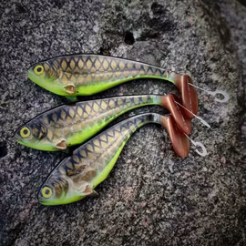 Snackbite 16cm Kiwi Bream