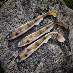 FuseShad 24cm Golden Wallaye