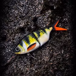 Easy Swim 17cm Natural Perch