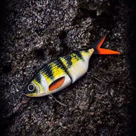 Easy Swim 17cm Natural Perch