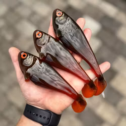 Snackbite 16cm Pure Motoroil Hottail