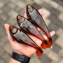 Snackbite 16cm Pure Motoroil Hottail