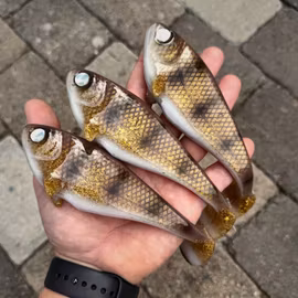 Snackbite 16cm Golden Wallaye