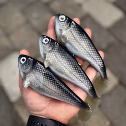 Snackbite 16cm Sparkling Baitfish