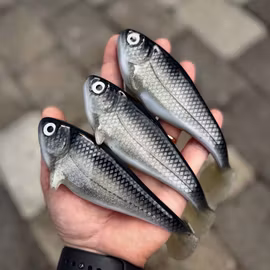 Snackbite 16cm Sparkling Baitfish