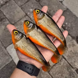 Snackbite 16cm JS Special