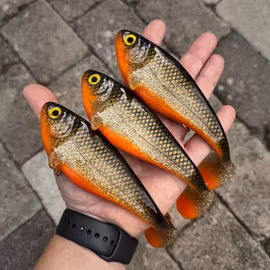 Snackbite 16cm JS Special