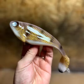 Snackbite 16cm Golden Wallaye