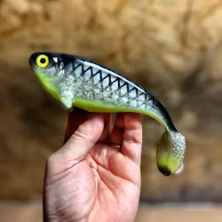 Snackbite 16cm Hot Baitfish