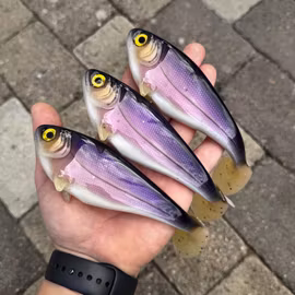 Snackbite 16cm Dirty Whitefish