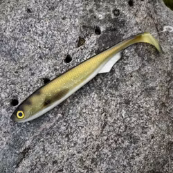 FuseShad 27cm Sparkling Smelt