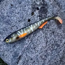 FuseShad 27cm Natural Pike