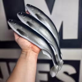 FuseShad 33cm Sparkling Baitfish