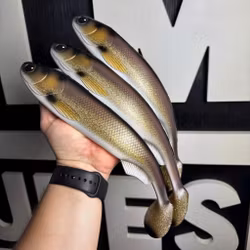FuseShad 33cm White Bream
