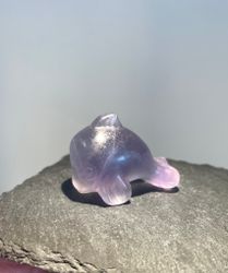 Delfin Regnbågsfluorit