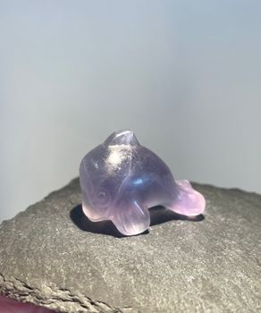 Delfin Regnbågsfluorit