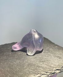 Delfin Regnbågsfluorit