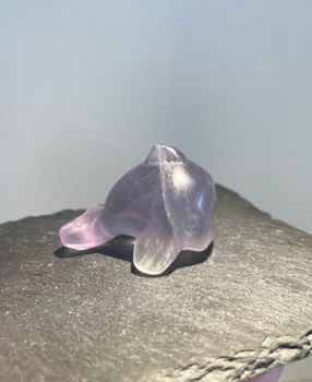 Delfin Regnbågsfluorit