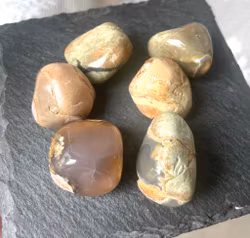 ThunderEgg