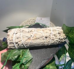 Vit Salvia