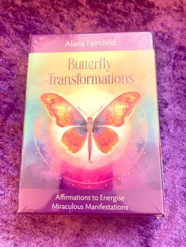 Butterfly Transformations🇬🇧