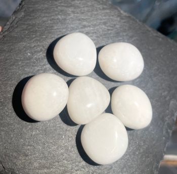 Snökvarts S
