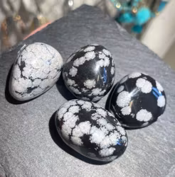 SnöflingeObsidian